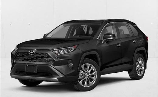 2019 Toyota RAV4 Limited