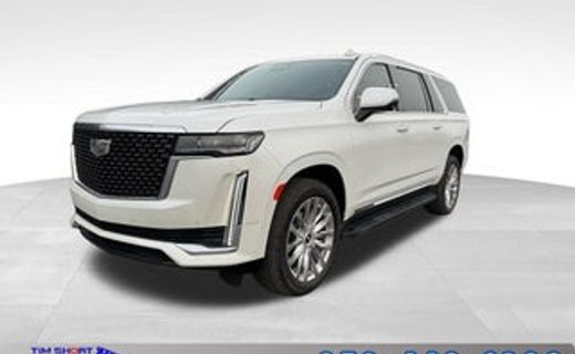 2019 Cadillac Escalade ESV Platinum