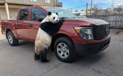 2017 Nissan Titan S