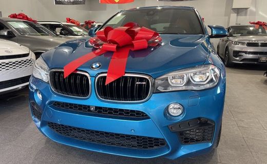 2019 BMW X6 M