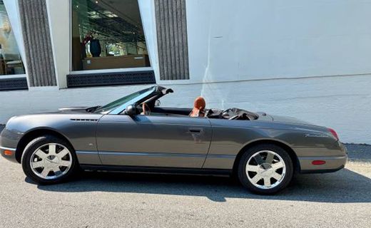 2003 Ford Thunderbird