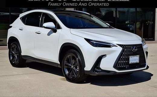 2025 Lexus NX Luxury