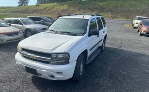 2005 Chevrolet Trailblazer LS