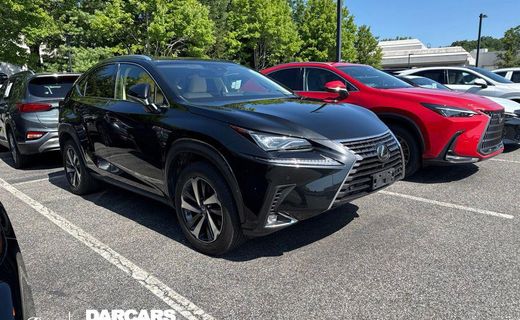 2019 Lexus NX 300 Luxury
