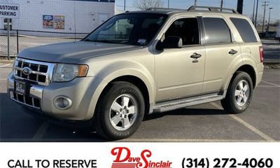 2010 Ford Escape XLT