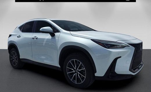 2025 Lexus NX