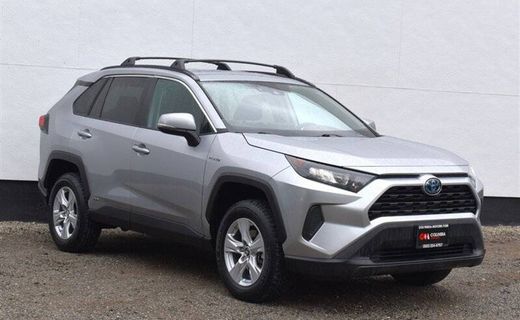 2019 Toyota RAV4 LE