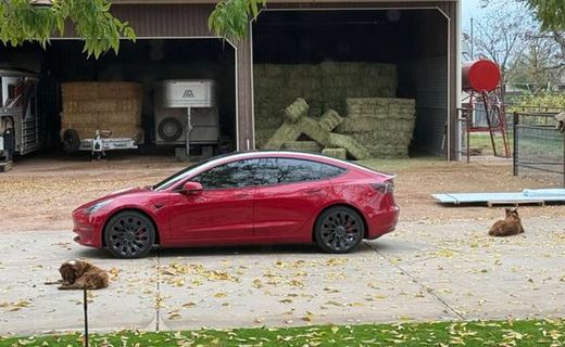 2023 Tesla Model 3 Performance