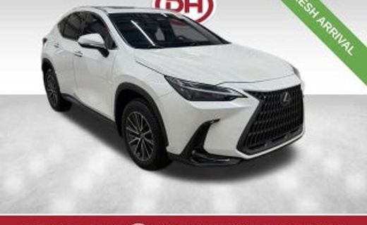 2024 Lexus NX 350 Base