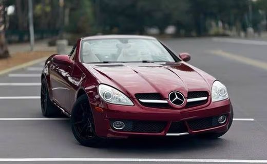 2010 Mercedes-Benz SLK-Class SLK300