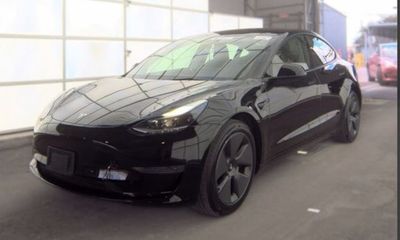 2023 Tesla Model 3