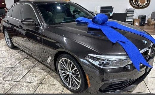 2019 BMW 530e