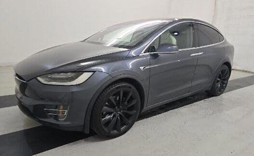 2019 Tesla Model X