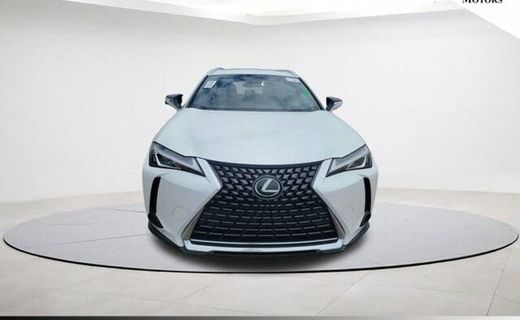 2019 Lexus UX