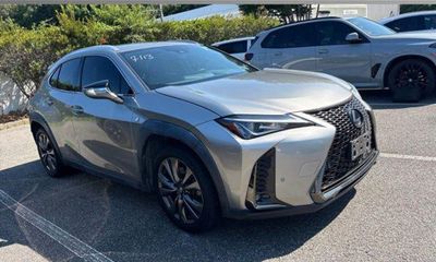 2020 Lexus UX 250H F Sport