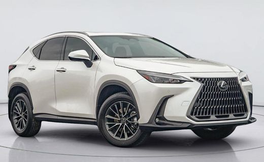 2025 Lexus NX