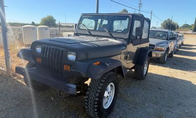 1993 Jeep Wrangler SE