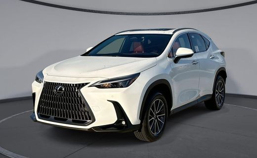 2026 Lexus NX Luxury