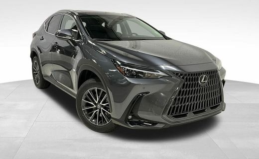 2025 Lexus NX 350 Base