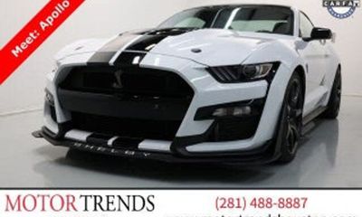 2019 Ford Mustang Shelby Coupe