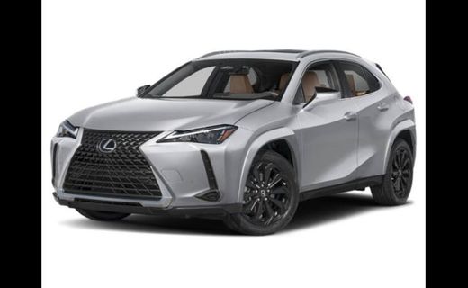 2025 Lexus UX 300H