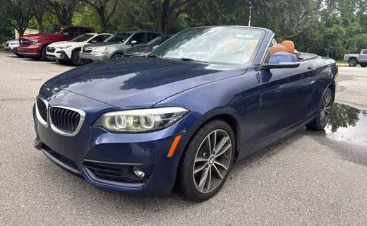 2019 BMW 230i