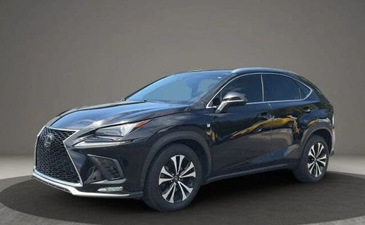 2018 Lexus NX 300 Luxury