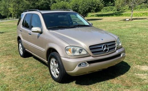 2003 Mercedes-Benz M-Class ML500