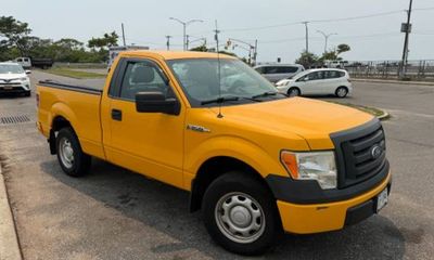 2010 Ford F-150 Styleside