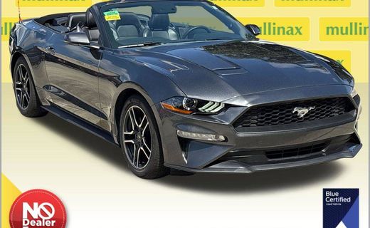 2019 Ford Mustang