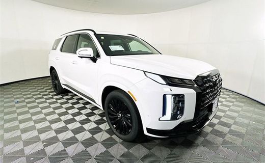 2024 Hyundai Palisade Calligraphy Night
