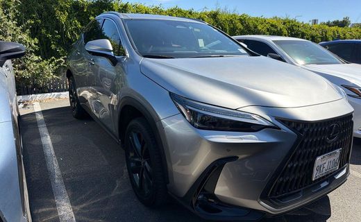 2024 Lexus NX Luxury