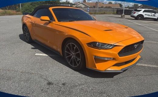 2019 Ford Mustang