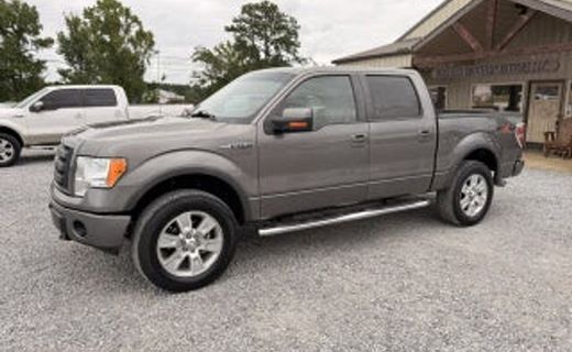2010 Ford F-150 Styleside