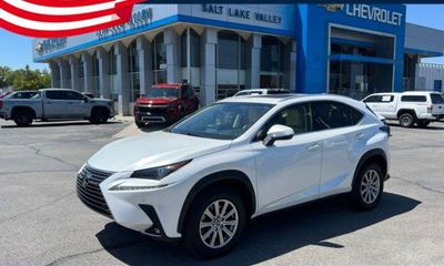 2019 Lexus NX 300 Luxury