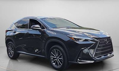 2025 Lexus NX 350 Luxury