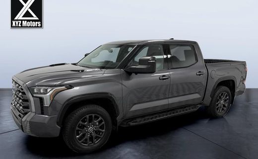 2022 Toyota Tundra Platinum