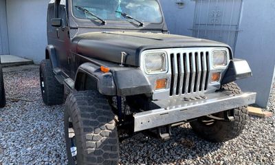 1994 Jeep Wrangler SE