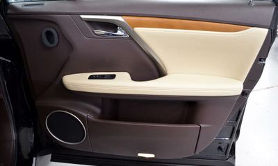 2020 Lexus RX