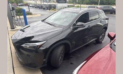 2024 Lexus NX 350 Base