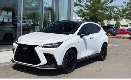 2023 Lexus NX 350 F Sport