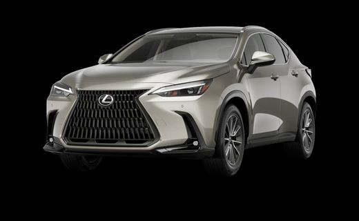 2026 Lexus NX Luxury